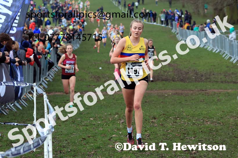 Womens Under-17s, 2024 CAU Inter Counties Cross Country Champs., Wollaton Park, Nottingham. Photo: David T. Hewitson/Sports for All Pics